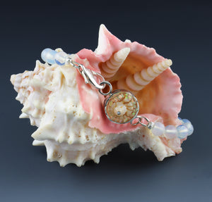 Lightening Whelk & Opalite Bead Bracelet