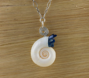 Rams Horn Pendant