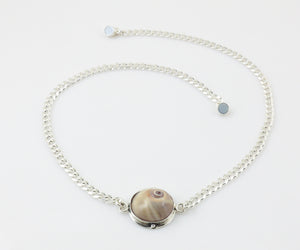 Sharkeye Moonsnail Shell Choker