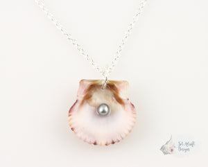 Single Freshwater Pearl in Scallop Shell Pendant: Small