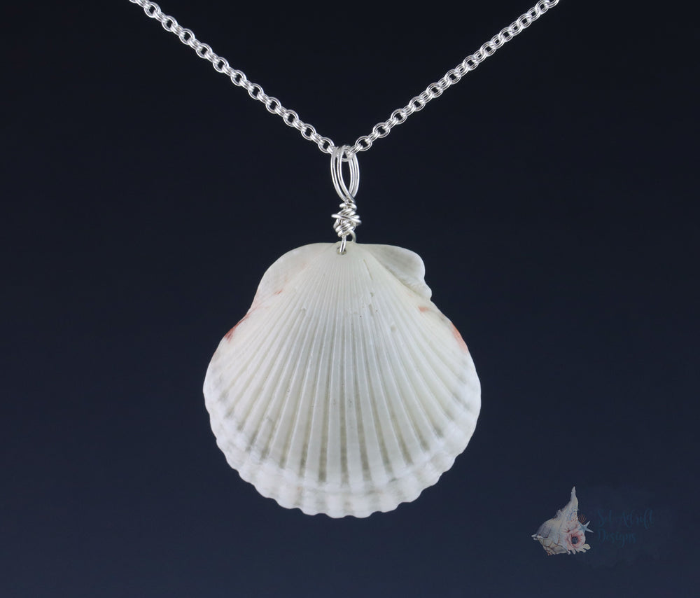 Freshwater Pearl in Scallop Shell Pendant: Large
