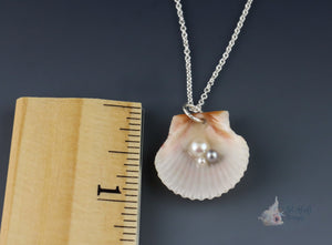 Three Freshwater Pearls in Scallop Shell Pendant: Small