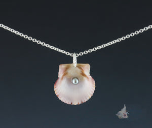 Single Freshwater Pearl in Scallop Shell Pendant: Small
