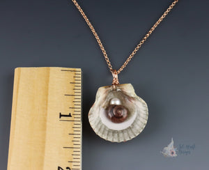 Freshwater Pearl & Scallop Shell Pendant: Medium