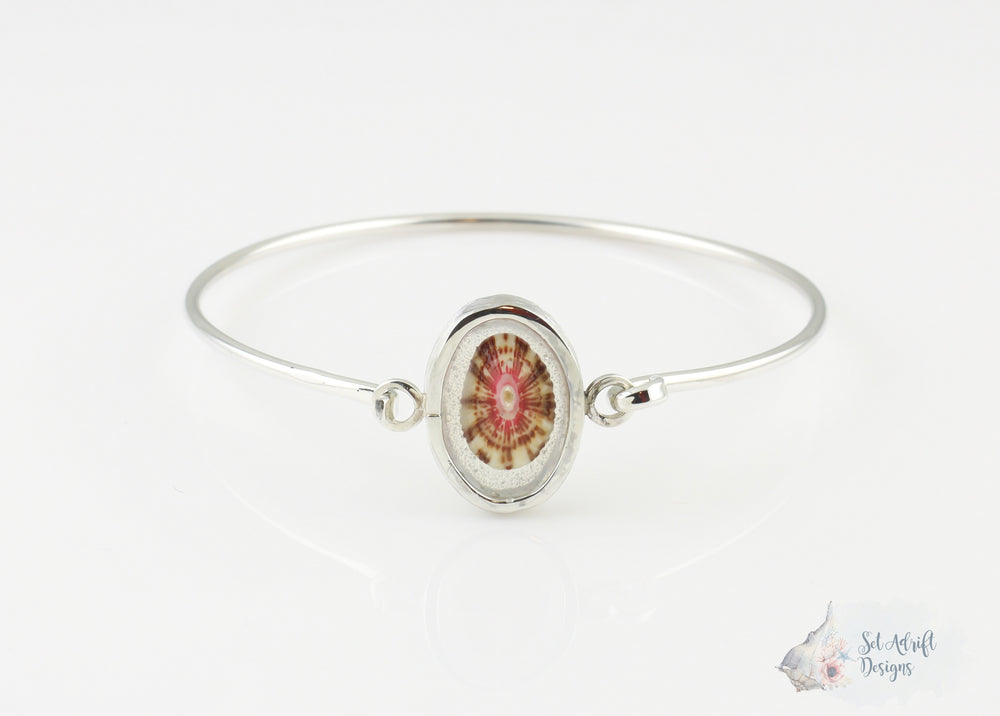 
            
                Load image into Gallery viewer, Limpet Shell Hook Clasp Bangle Bracelet
            
        